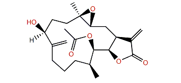 7-epi-Uprolide C acetate